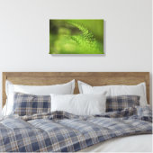 Grünes Fern Frond Nature Foto Leinwanddruck (Insitu (Schlafzimmer))