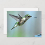 Grünes Foto Hummingbird Postkarte (Vorne/Hinten)