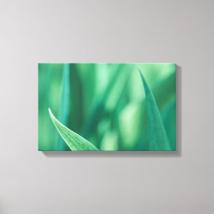 Grünes Foto Leinwanddruck