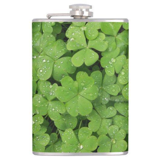 Grünes frisches Kleeblatt, glücklicher St. Patrick Flachmann (Vorderseite)
