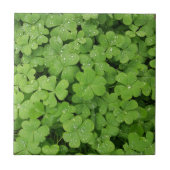 Grünes frisches Kleeblatt, glücklicher St. Patrick Fliese (Vorderseite)
