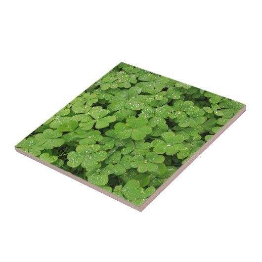 Grünes frisches Kleeblatt, glücklicher St. Patrick Fliese (Seite)