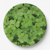 Grünes frisches Kleeblatt, glücklicher St. Patrick Pappteller (Vorderseite)