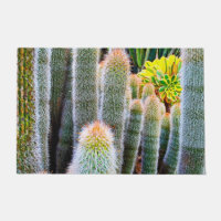 Grünes Fuzzy Kakteen nah-up Foto fett modernes Chi