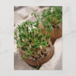 Grünes GartenWappen zu Ostern Ei Postkarte