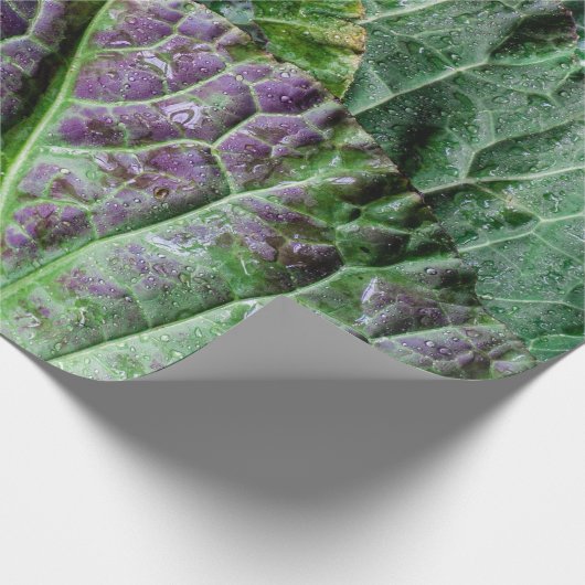 Grünes Gemüse Geschenkpapier (Ecke)