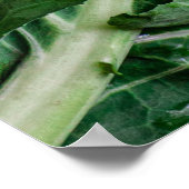 Grünes Gemüse Poster (Ecke)