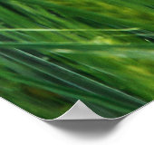 Grünes Gerstenfeld, Frühjahrsnähe. Poster (Ecke)