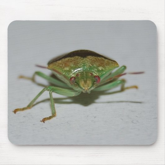 Grünes Gestank-Wanze mousepad (Vorne)