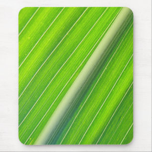 Grünes, gestreiftes Muster Mousepad