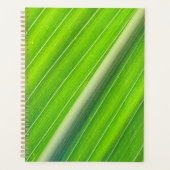 Grünes, gestreiftes Muster Planer (Vorderseite)