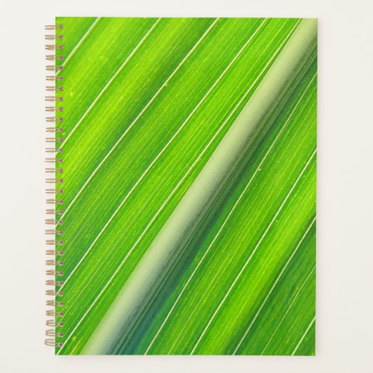 Grünes, gestreiftes Muster Planer (Vorderseite)