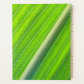 Grünes, gestreiftes Muster Planer (Rückseite)