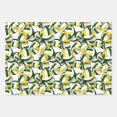 grünes Gold 3 koordinierendes Volleyball Geschenkpapier Set (Vorderseite)