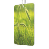 grünes Gras Autolufterfrischer (Links)