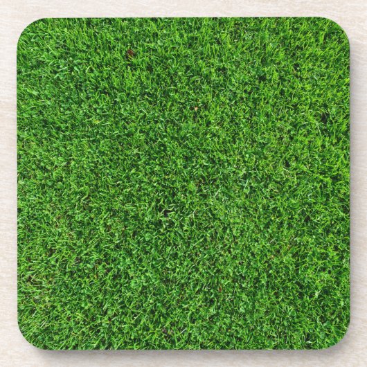 Grünes Gras-Beschaffenheit Getränkeuntersetzer (Vorderseite)