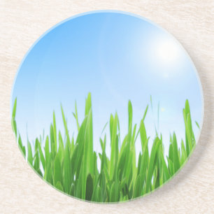 Grünes Gras Blaue Himmel Landschaft-10826 Getränkeuntersetzer