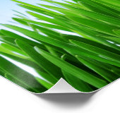 Grünes Gras Blaue Himmel Landschaft-10826 Poster (Ecke)