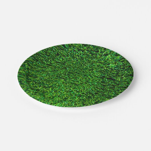 Grünes Gras-Hintergrund Pappteller (Schrägansicht)