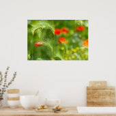 Grünes Gras mit roten Mohn als Hintergrund Poster (Küche)