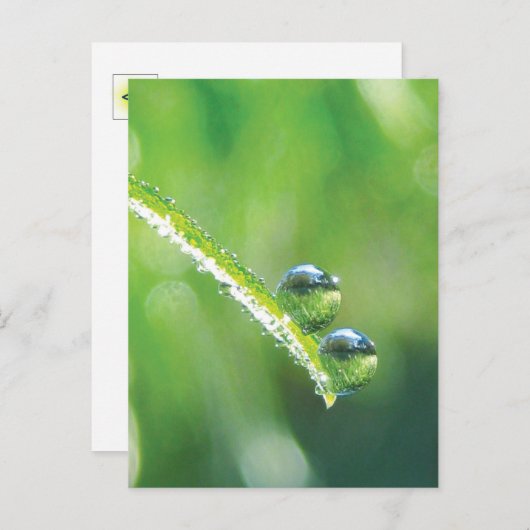 Grünes Gras mit Tiefenabfällen, die die Erde refle Postkarte (Vorne/Hinten)