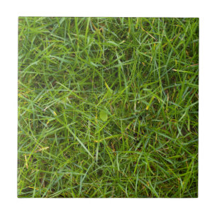 Grünes Gras-Muster-Fliese Fliese