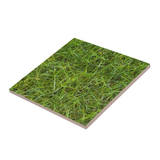 Grünes Gras-Muster-Fliese Fliese (Seite)