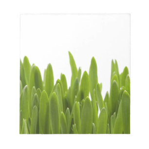 Grünes Gras Notizblock