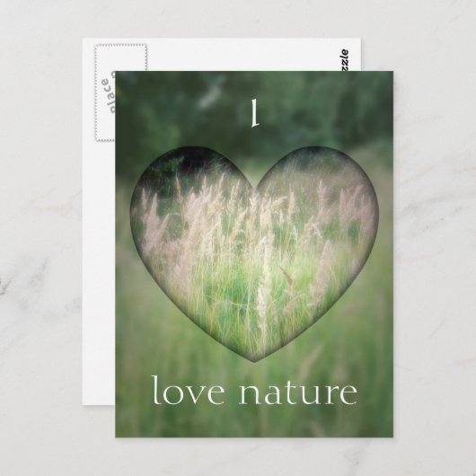 Grünes Grasherz Postkarte (Vorne/Hinten)