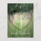 Grünes Grasherz Postkarte (Vorderseite)