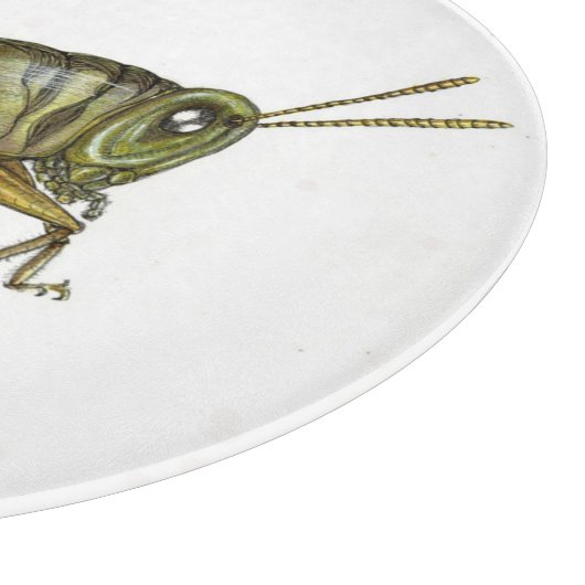 Grünes Grasshopper-Tischset Schneidebrett (Ecke)