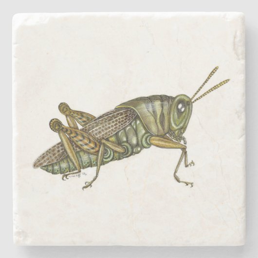 Grünes Grasshopper-Tischset Steinuntersetzer (Vorderseite)