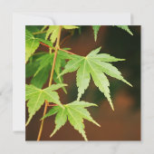 Grünes japanisches Ahorn-Blätter-Brautparty Einladung (Rückseite)