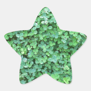 Grünes Klee-Natur-Foto Stern-Aufkleber