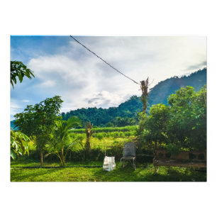 Grünes Landhaus Fotodruck