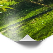 Grünes Landhaus Fotodruck (Ecke)