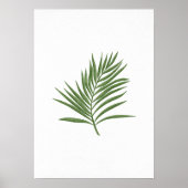 Grünes Leaf 3 Poster (Vorne)