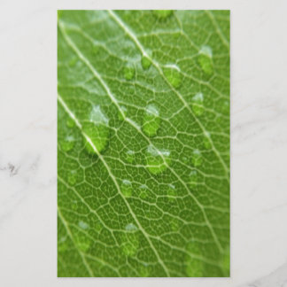 Grünes Leaf Briefpapier