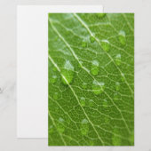 Grünes Leaf Briefpapier (Vorne/Hinten)