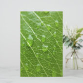 Grünes Leaf Briefpapier (Stehend Vorderseite)