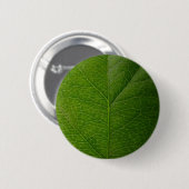 Grünes Leaf Button (Vorne & Hinten)