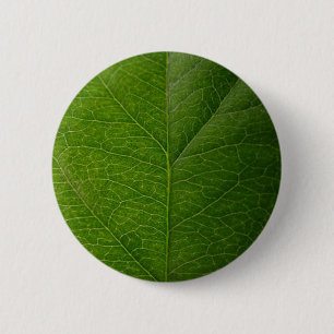 Grünes Leaf Button