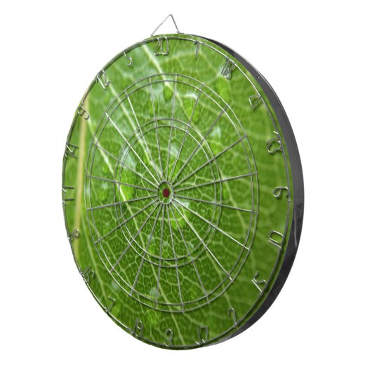 Grünes Leaf Dartscheibe (Vorderseite rechts)