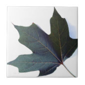 Grünes Leaf Fliese (Vorderseite)