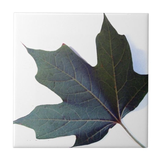 Grünes Leaf Fliese (Vorderseite)