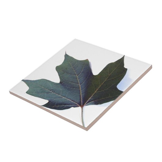 Grünes Leaf Fliese (Seite)