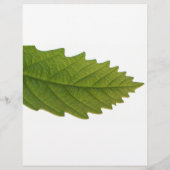 Grünes Leaf Flyer (Hinten)