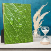 Grünes Leaf Fotoplatte (Seite)