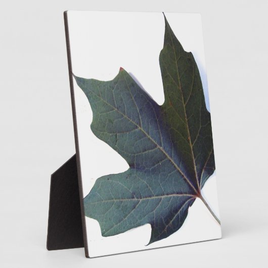 Grünes Leaf Fotoplatte (Seite)