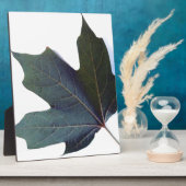 Grünes Leaf Fotoplatte (Seite)